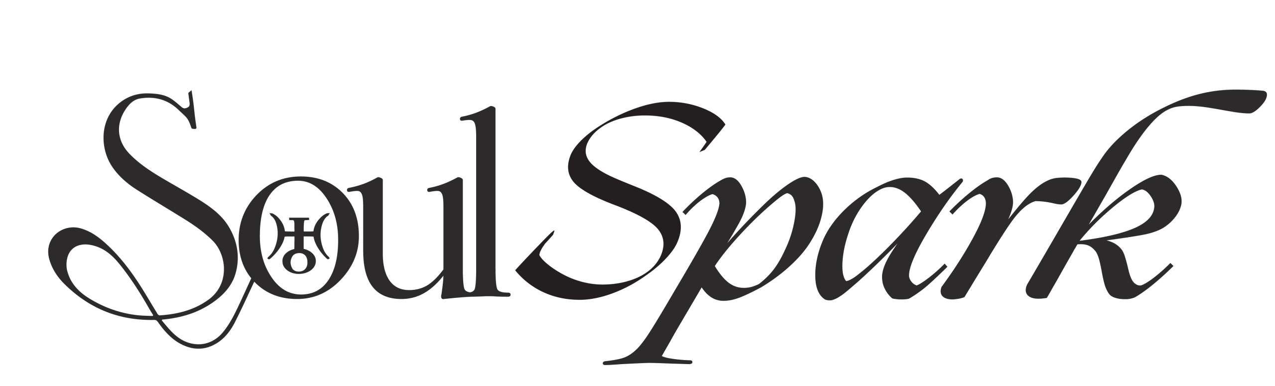 SoulSpark Coaching